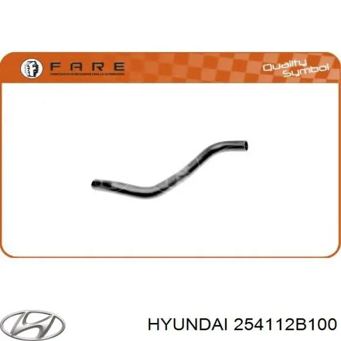 254112B100 Hyundai/Kia tubería de radiador arriba