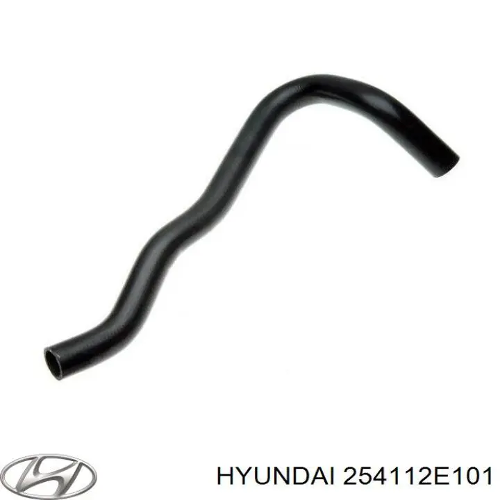 254112E101 Hyundai/Kia tubería de radiador arriba