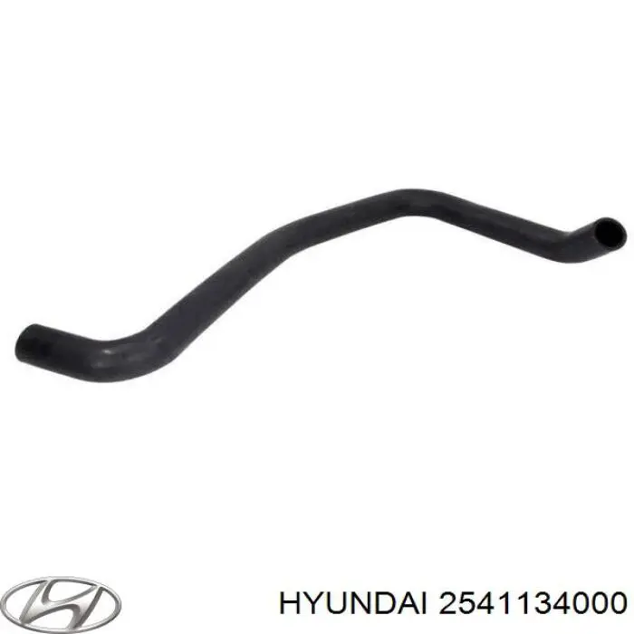 2541134000 Hyundai/Kia 