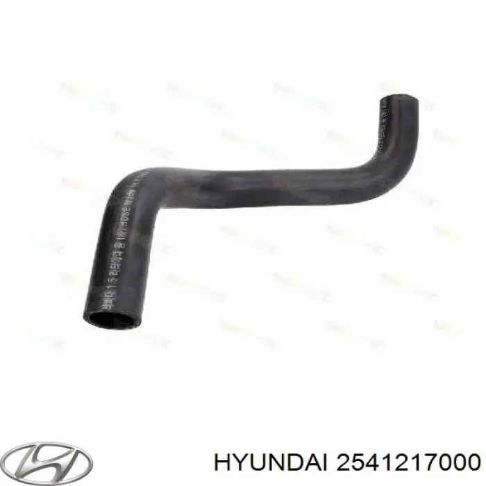 2541217000 Hyundai/Kia manguera refrigerante para radiador inferiora