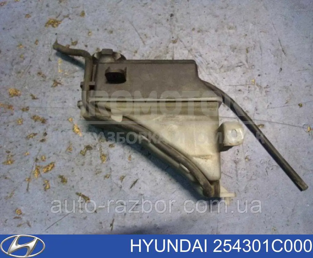 254301C000 Hyundai/Kia botella de refrigeración