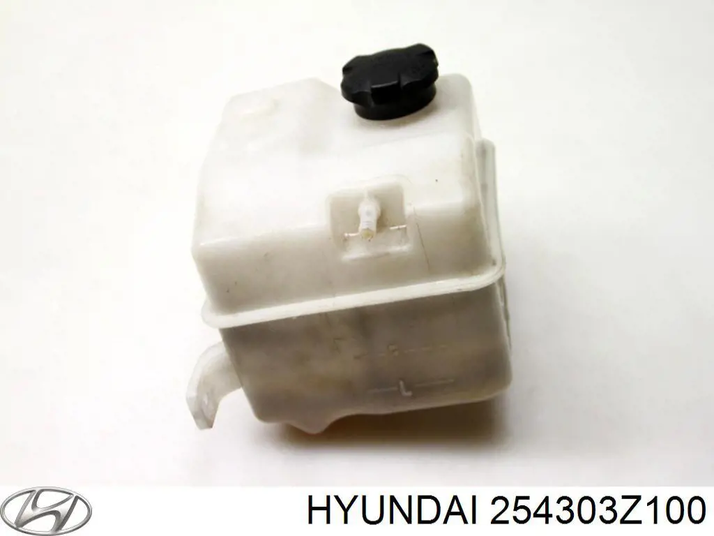 254303Z100 Hyundai/Kia botella de refrigeración