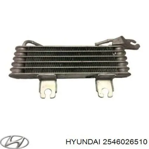  Radiador de aceite para Hyundai Santa Fe 1 