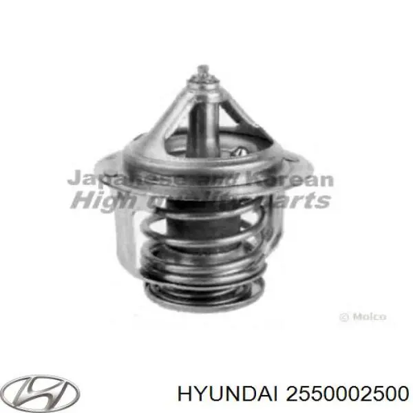 2550002500 Hyundai/Kia termostato, refrigerante