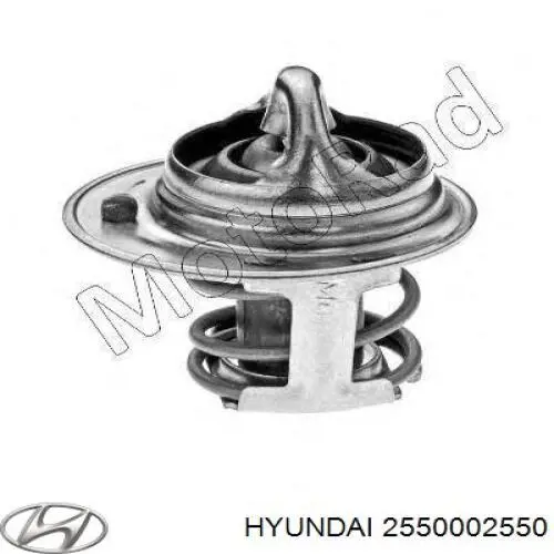 2550002550 Hyundai/Kia termostato, refrigerante