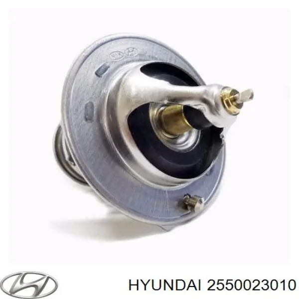 2550023010 Hyundai/Kia termostato, refrigerante