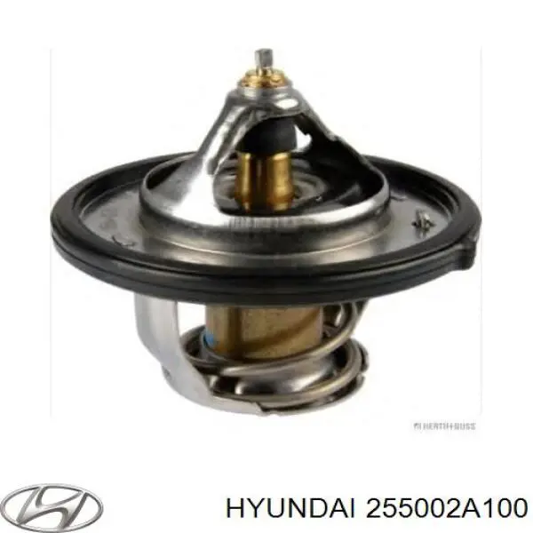  Termostato, refrigerante para Hyundai I30 