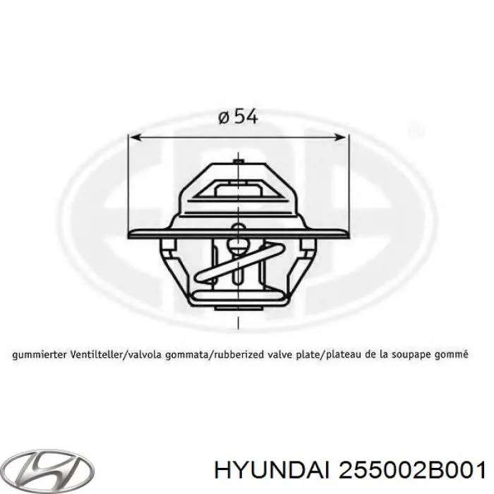 255002B001 Hyundai/Kia termostato, refrigerante