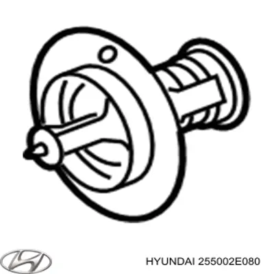 255002E080 Hyundai/Kia 