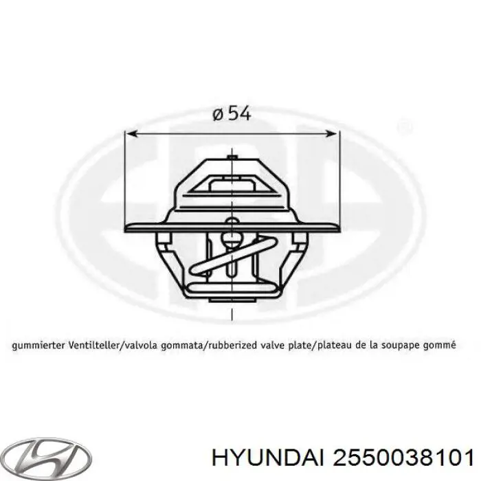 2550038101 Hyundai/Kia termostato, refrigerante