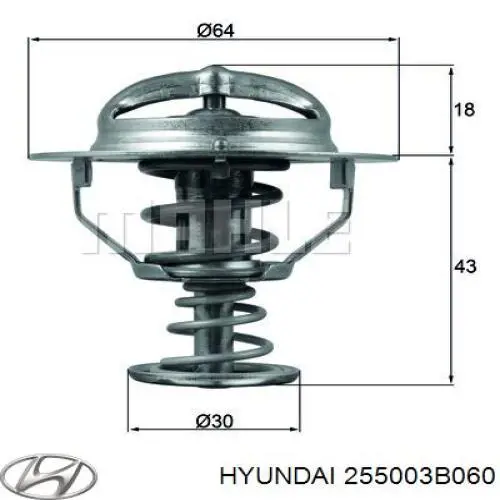 255003B060 Hyundai/Kia termostato, refrigerante