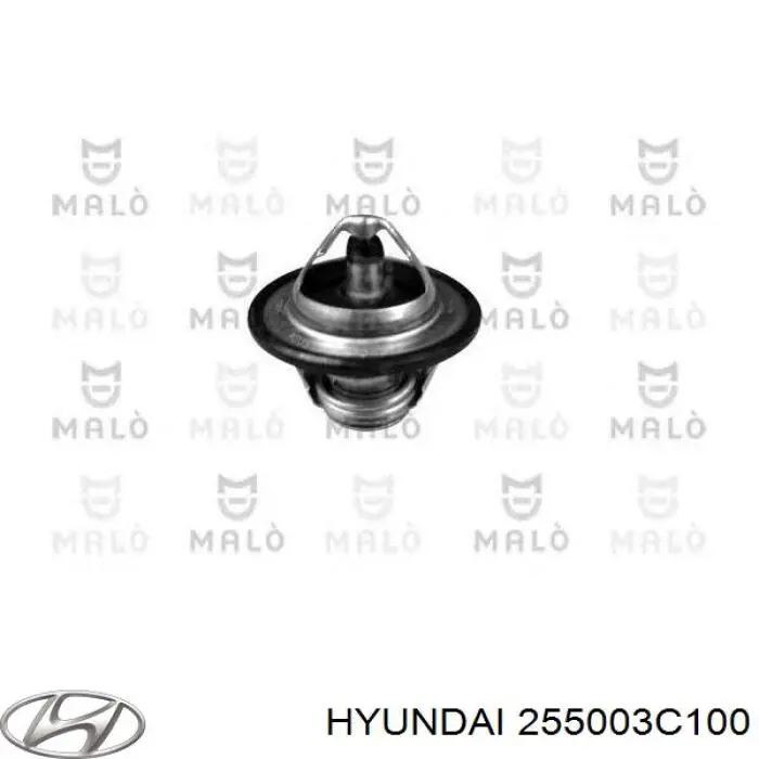 255003C100 Hyundai/Kia termostato, refrigerante