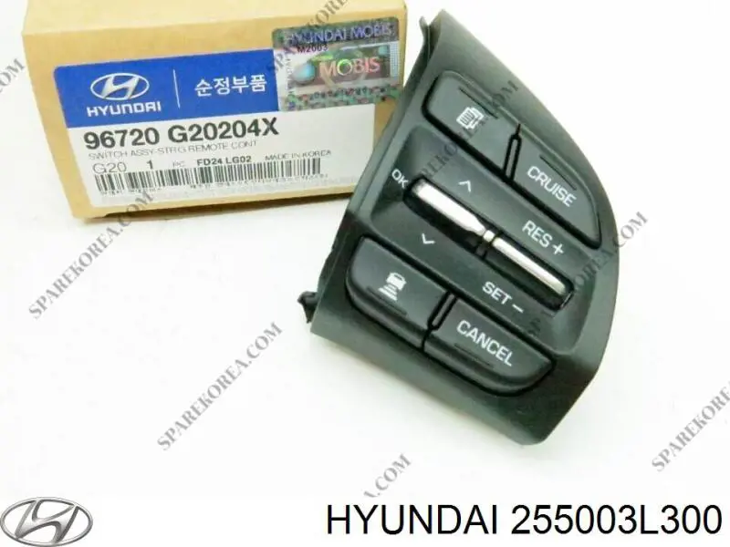 255003L300 Hyundai/Kia 