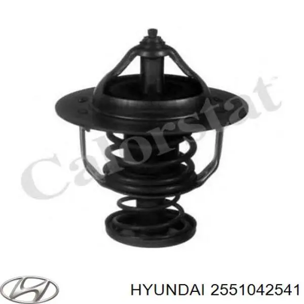 2551042541 Hyundai/Kia termostato, refrigerante