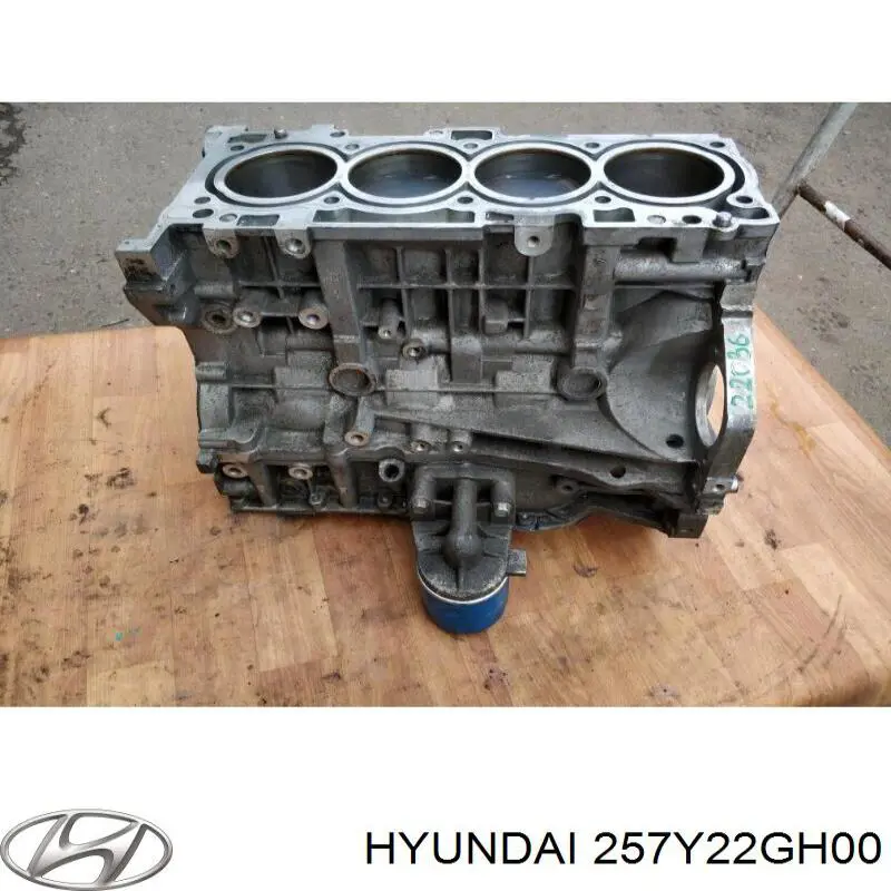 257Y22GH00 Hyundai/Kia 