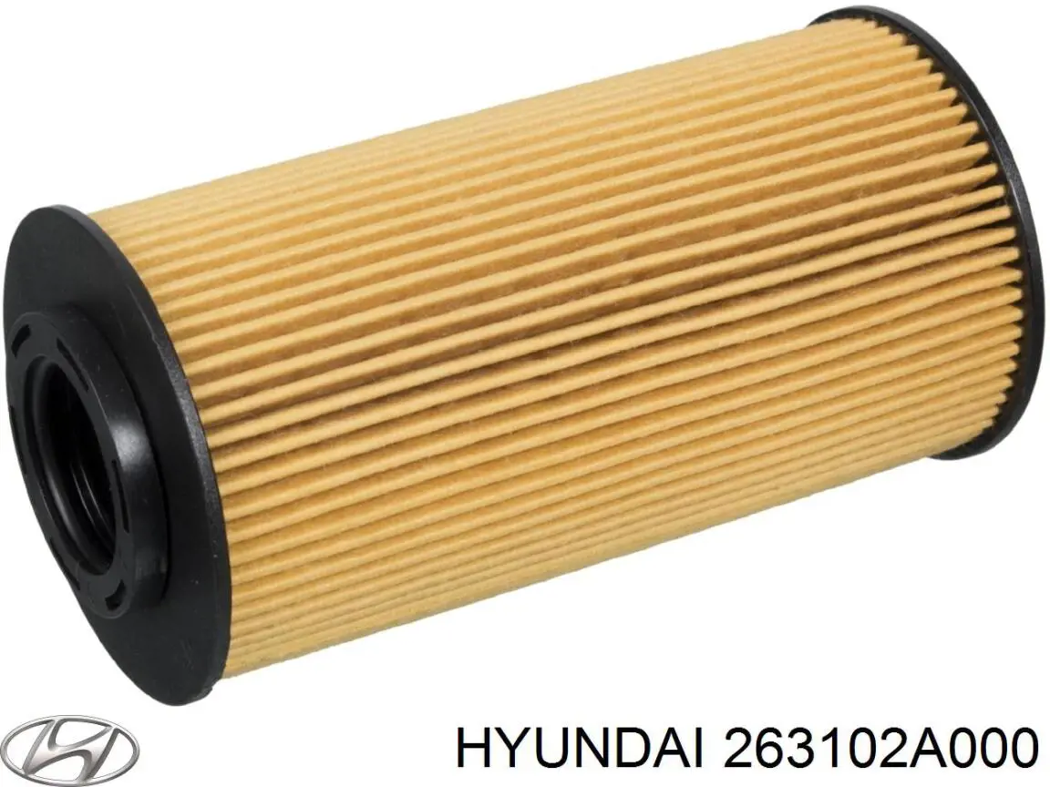 263102A000 Hyundai/Kia caja, filtro de aceite