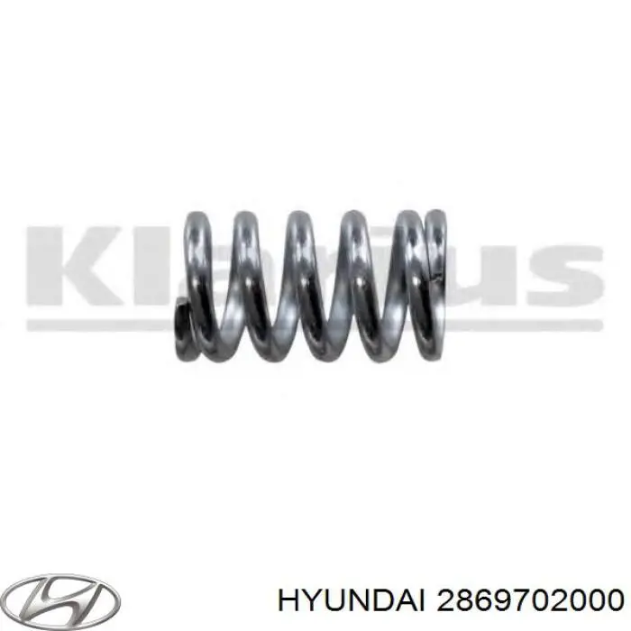 2869702000 Hyundai/Kia muelle, tubo de escape