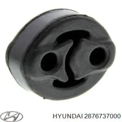 2876737000 Hyundai/Kia 