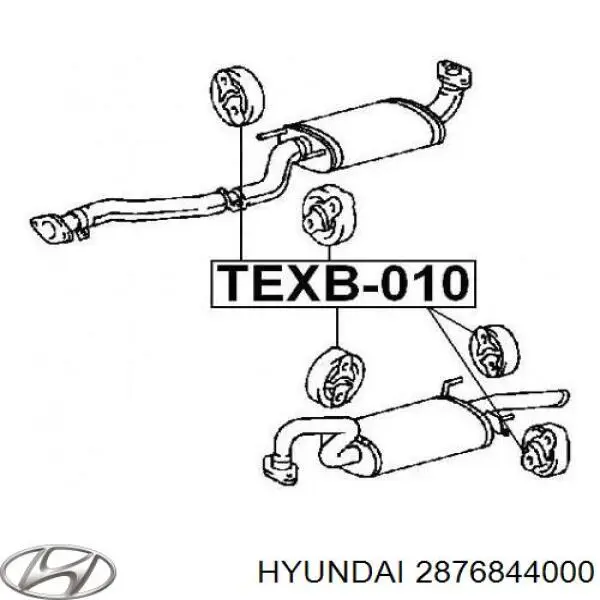 2876844000 Hyundai/Kia 