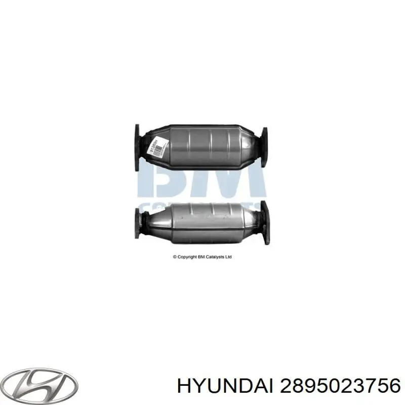 2895023756 Hyundai/Kia catalizador