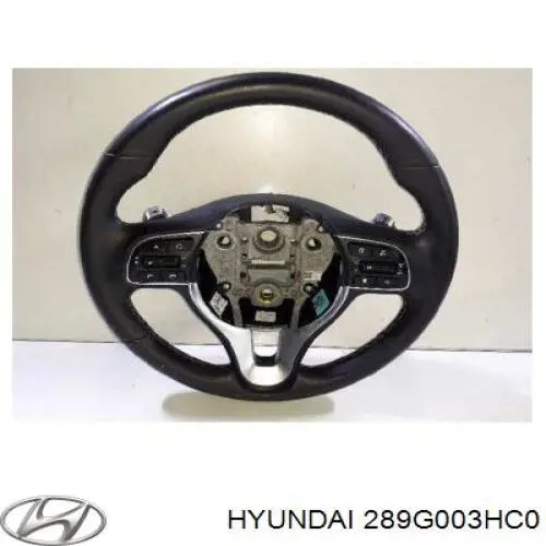 289G003HC0 Hyundai/Kia catalizador