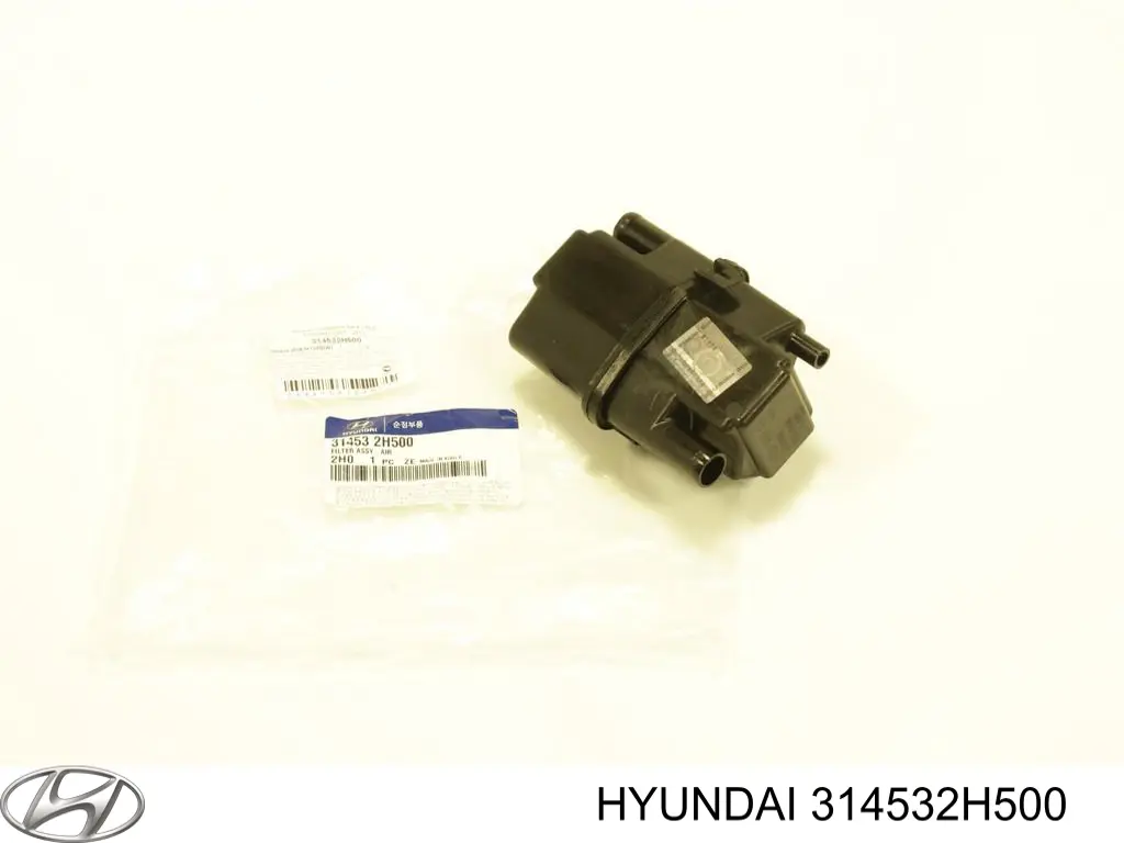 314532H500 Hyundai/Kia filtro de carbón activado, ventilación depósito