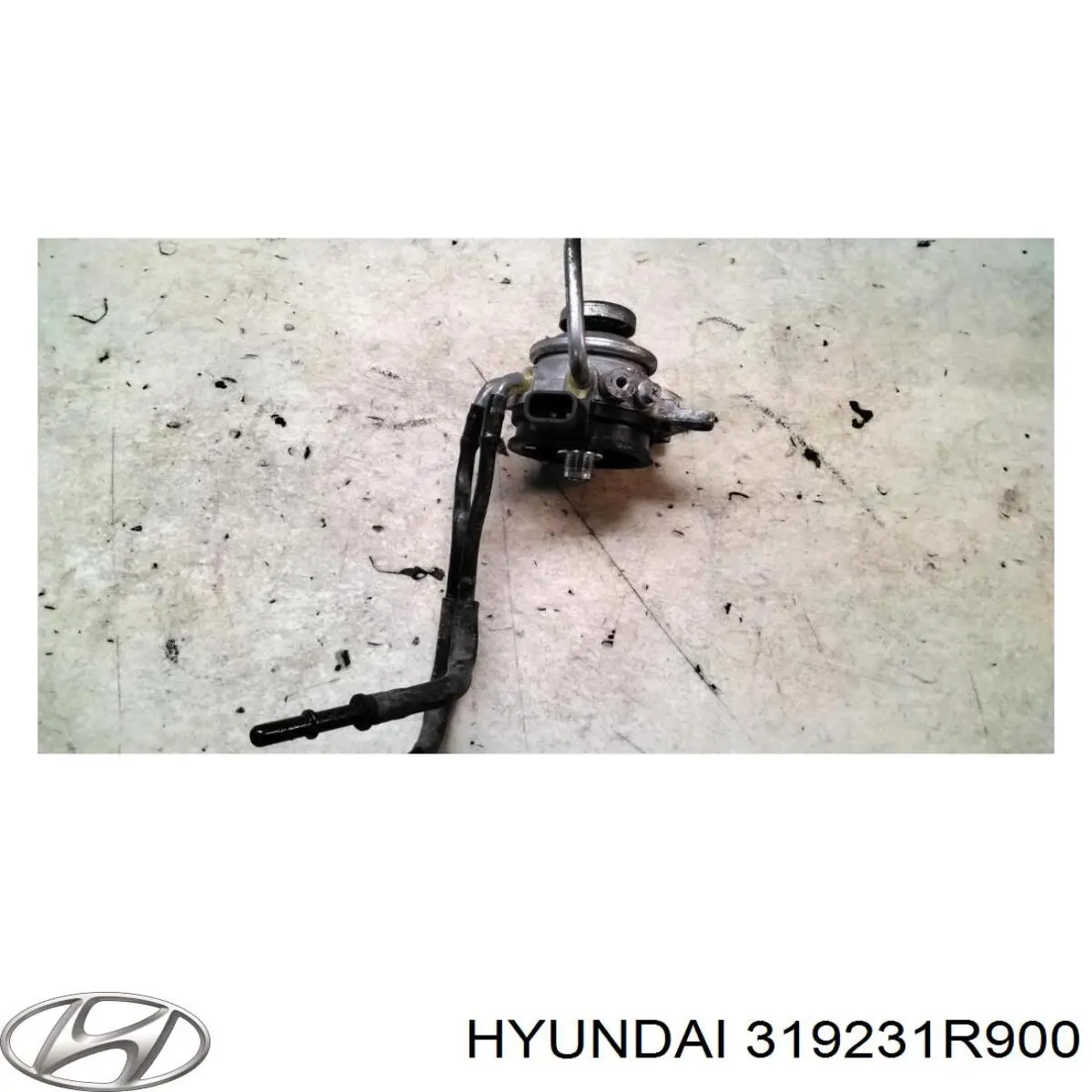 319231R900 Hyundai/Kia calentador de combustible en el filtro