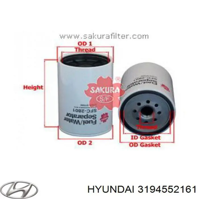 3194552161 Hyundai/Kia filtro combustible