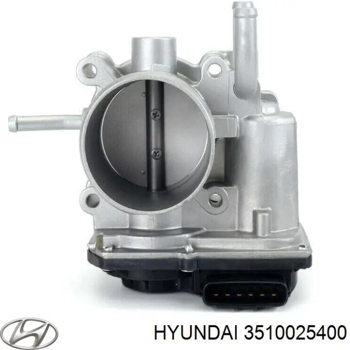 3510025400 Hyundai/Kia cuerpo de mariposa completo