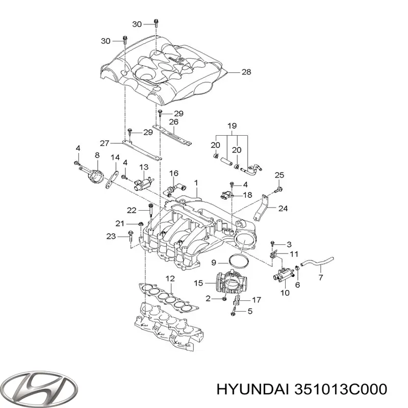 351013C000 Hyundai/Kia junta cuerpo mariposa