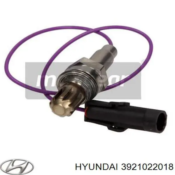 3921022018 Hyundai/Kia 