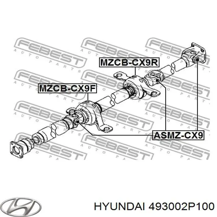 493002P100 Hyundai/Kia árbol cardán trasero completo