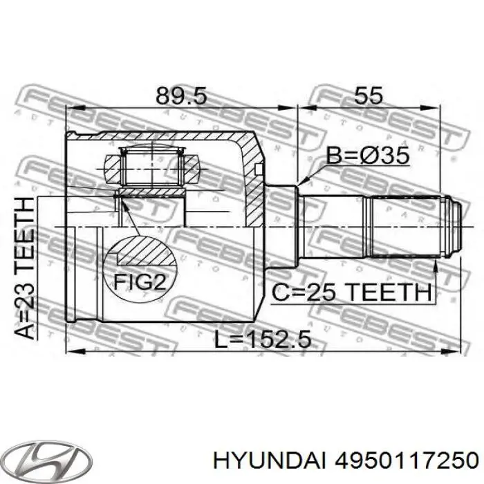 4950117250 Hyundai/Kia árbol de transmisión delantero derecho