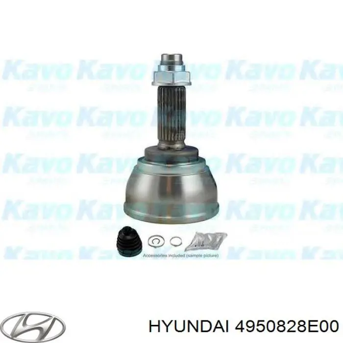 4950828E00 Hyundai/Kia junta homocinética exterior delantera derecha