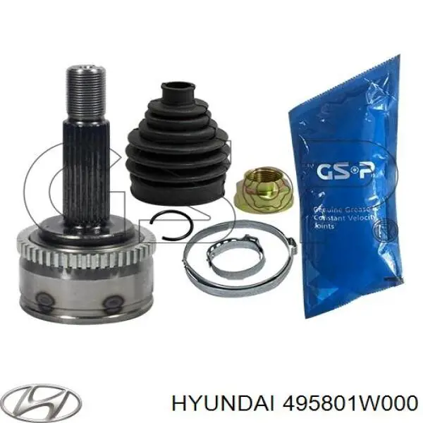 495801W000 Hyundai/Kia 