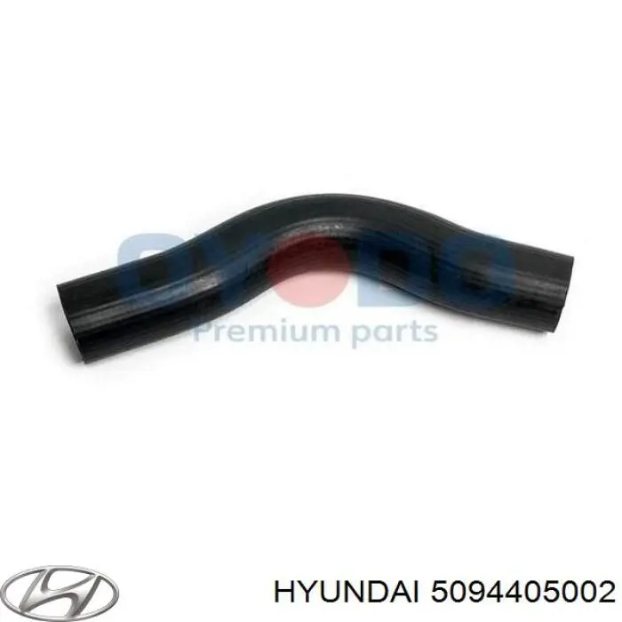 5094405002 Hyundai/Kia tubo de ventilacion del carter (separador de aceite)