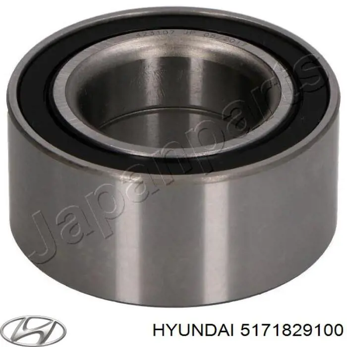 5171829100 Hyundai/Kia anillo de retención de cojinete de rueda