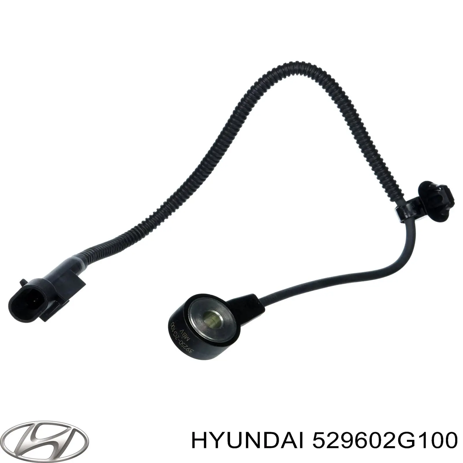 529602G100 Hyundai/Kia 