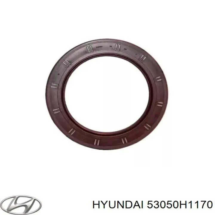  Anillo retén, Diferencial trasero para Hyundai Galloper JK