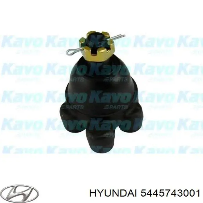 5445743001 Hyundai/Kia rótula de suspensión superior