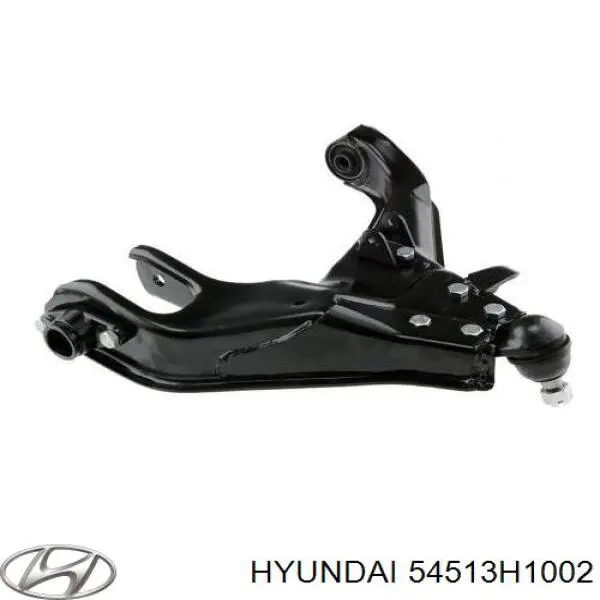 54513H1002 Hyundai/Kia 