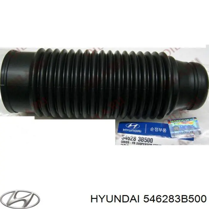  Caperuza protectora/fuelle, amortiguador delantero para Hyundai Santa Fe 1 