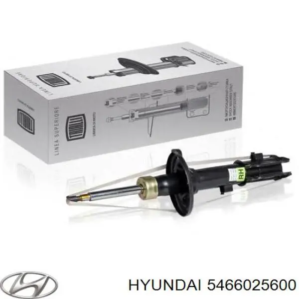 5466025600 Hyundai/Kia 