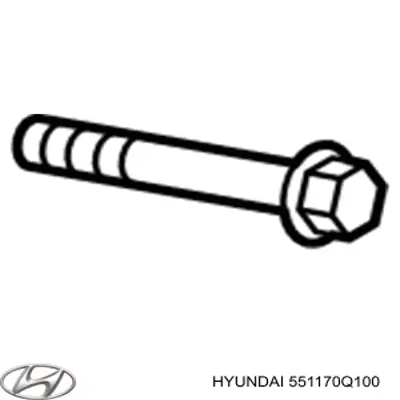 551170Q100 Hyundai/Kia 