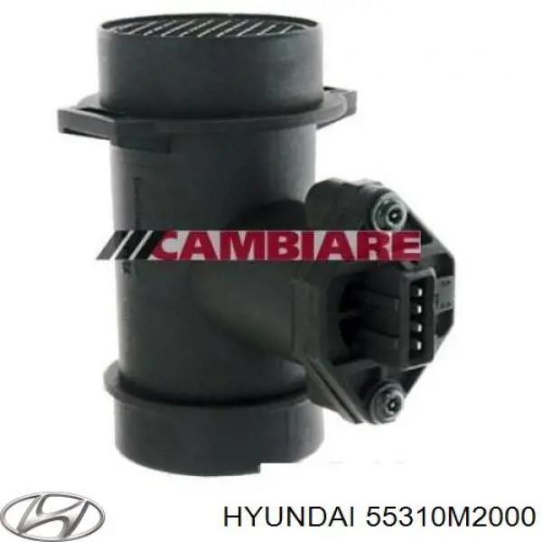 55310M2000 Hyundai/Kia amortiguador trasero