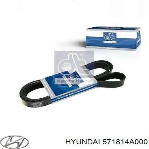 571814A000 Hyundai/Kia correa trapezoidal