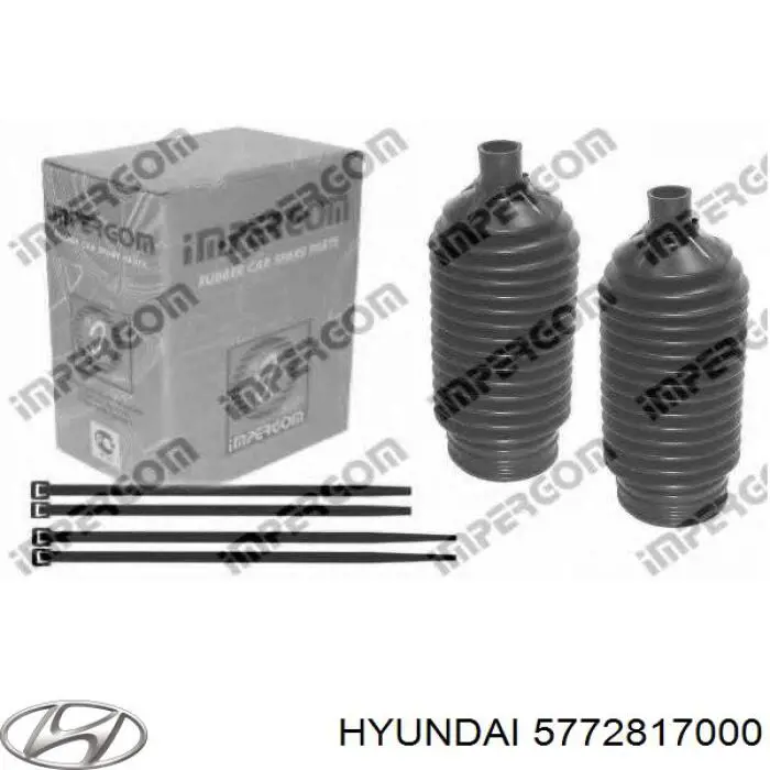 5772817000 Hyundai/Kia fuelle, dirección