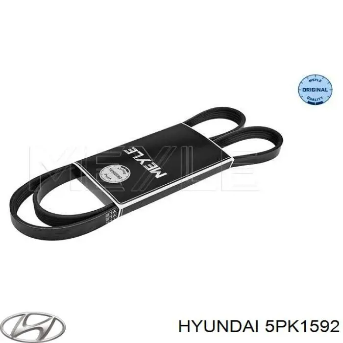 5PK1592 Hyundai/Kia correa trapezoidal