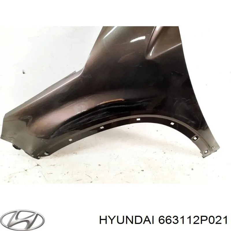 663112P021 Hyundai/Kia guardabarros delantero izquierdo