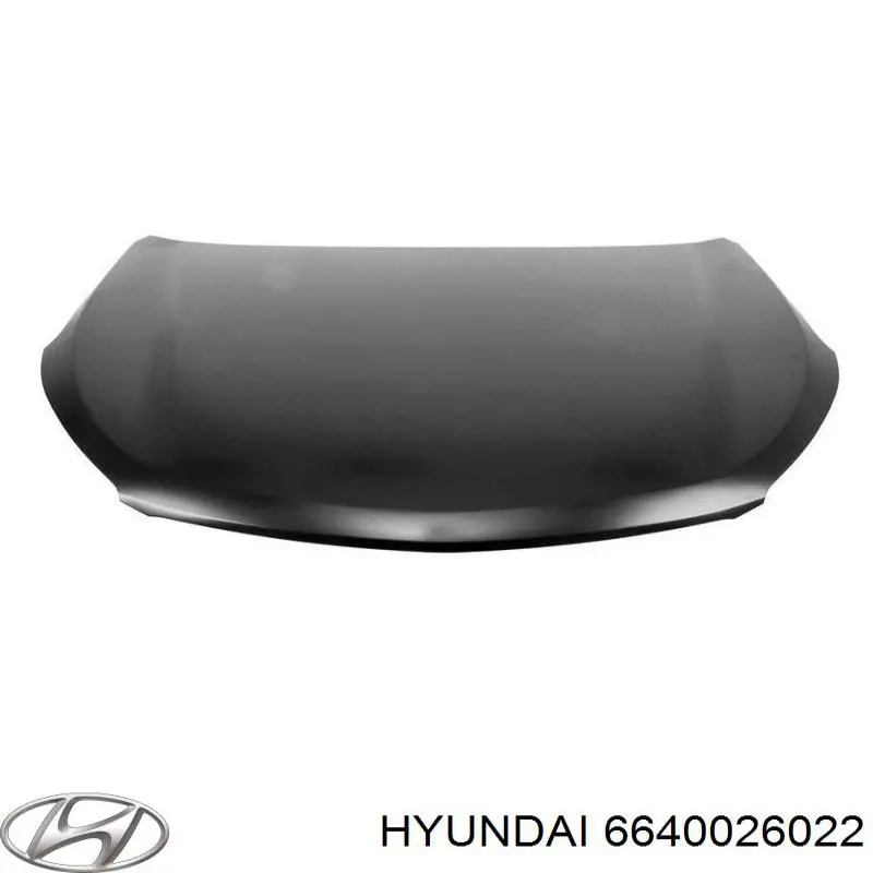 6640026022 Hyundai/Kia capó del motor